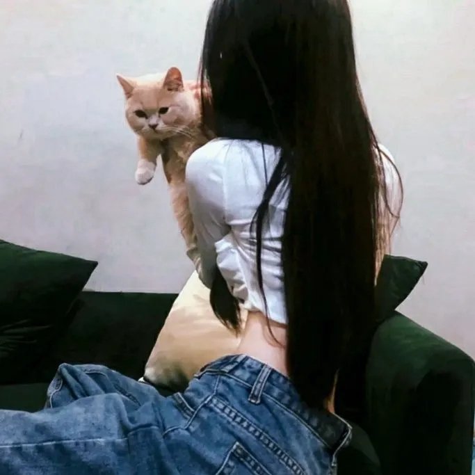 完美设陷